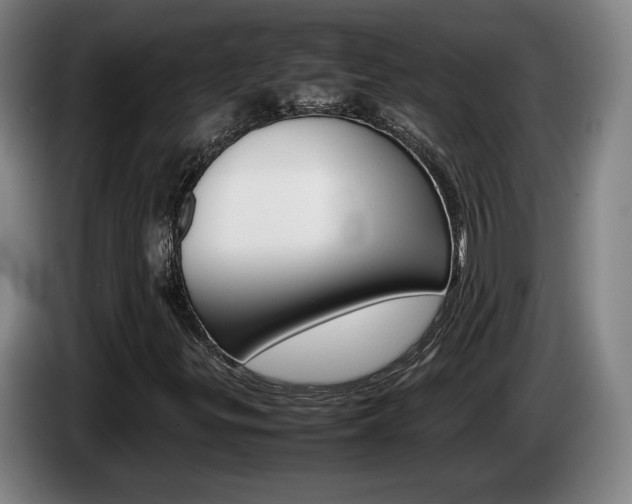 X0000085311299200703091045