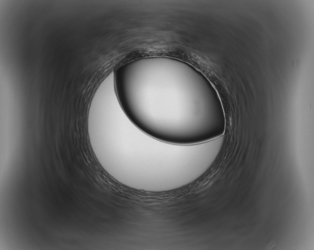 X0000085311300200703091045