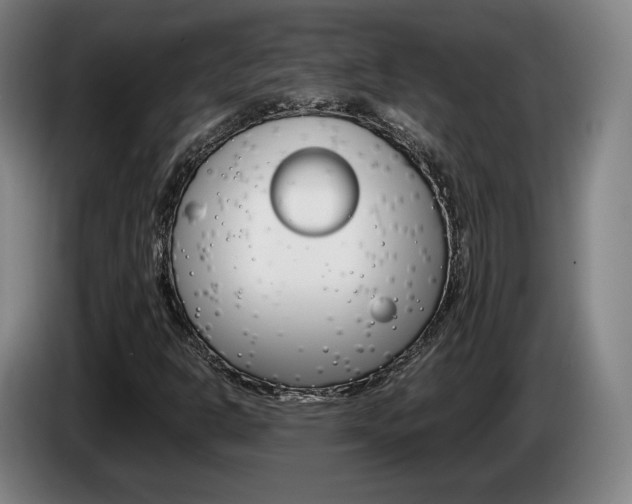 X0000085311302200703091045