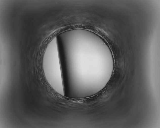 X0000085311303200703091045