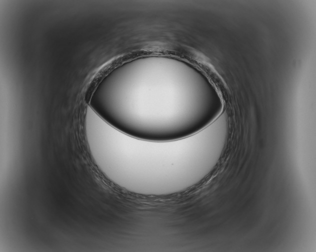 X0000085311304200703091045