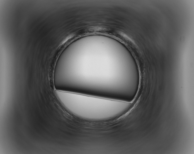 X0000085311305200703091045