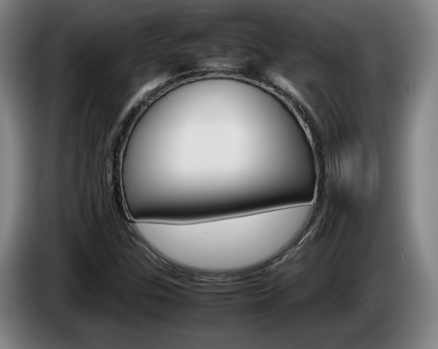 X0000085311307200703091045