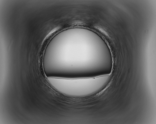 X0000085311309200703091045