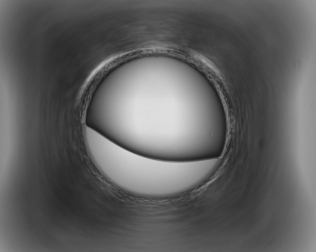 X0000085311310200703091045