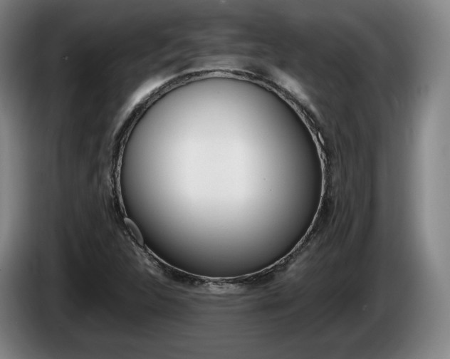 X0000085311312200703091046