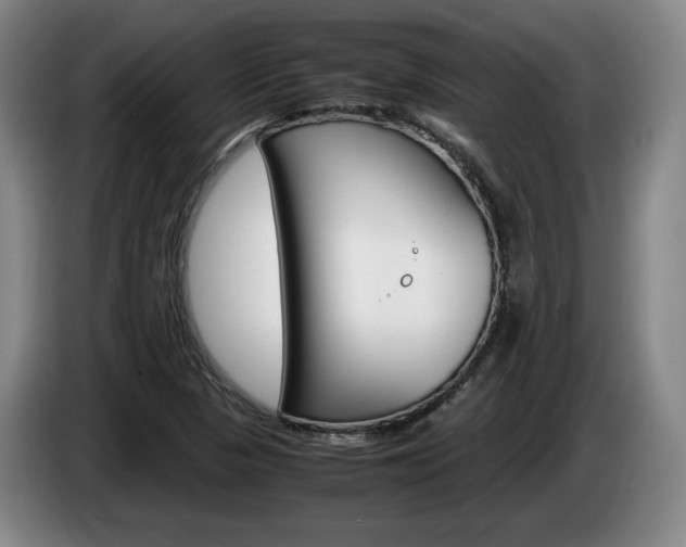 X0000085311313200703091046