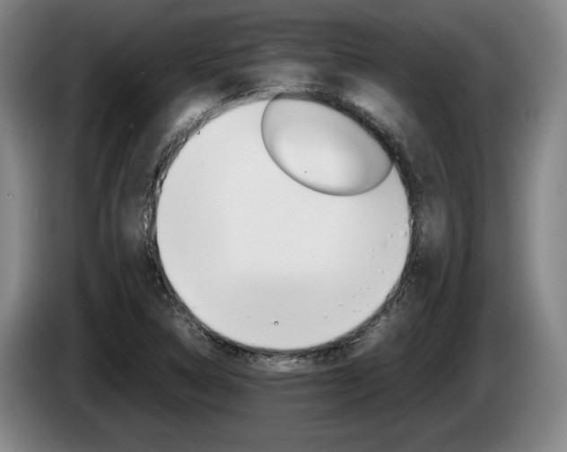 X0000085311314200703091046