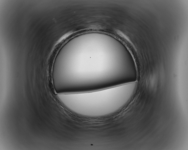 X0000085311315200703091046