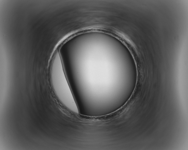 X0000085311316200703091046