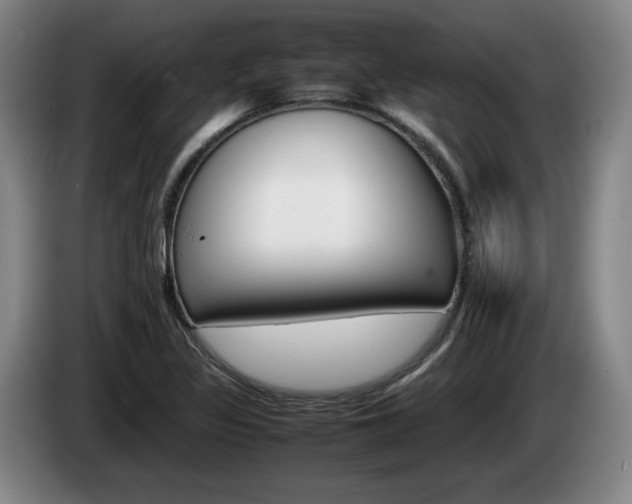 X0000085311317200703091046