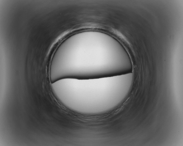 X0000085311318200703091046