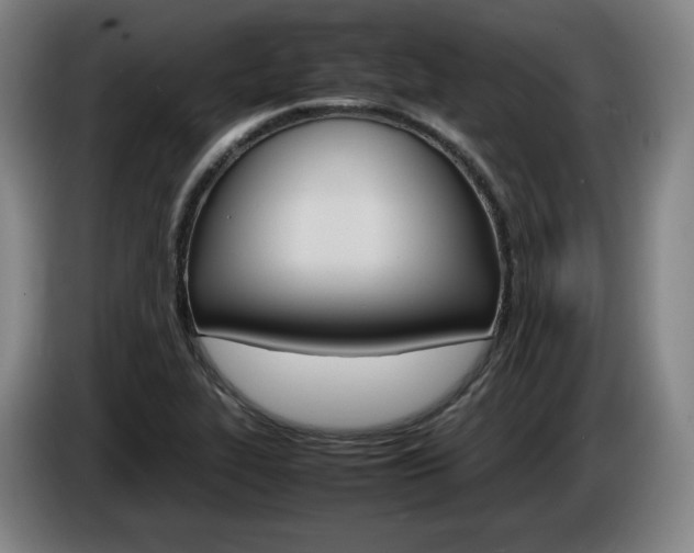 X0000085311319200703091046