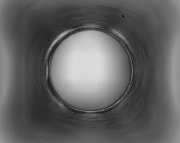 X0000085311323200703091046