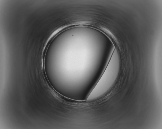 X0000085311324200703091046