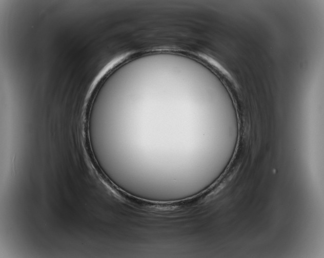 X0000085311325200703091046