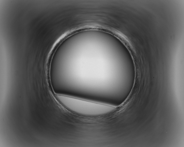 X0000085311326200703091046
