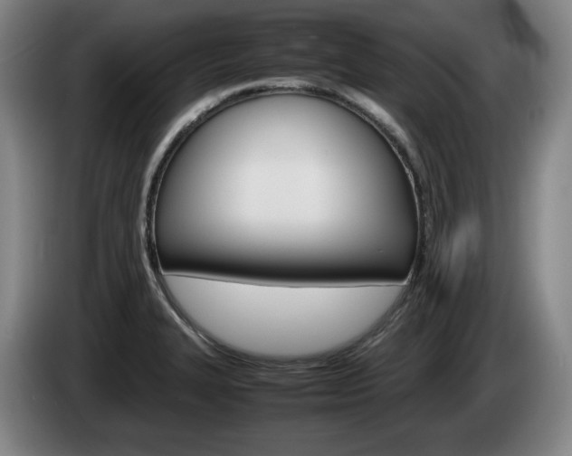 X0000085311327200703091046