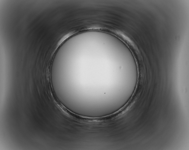 X0000085311329200703091046