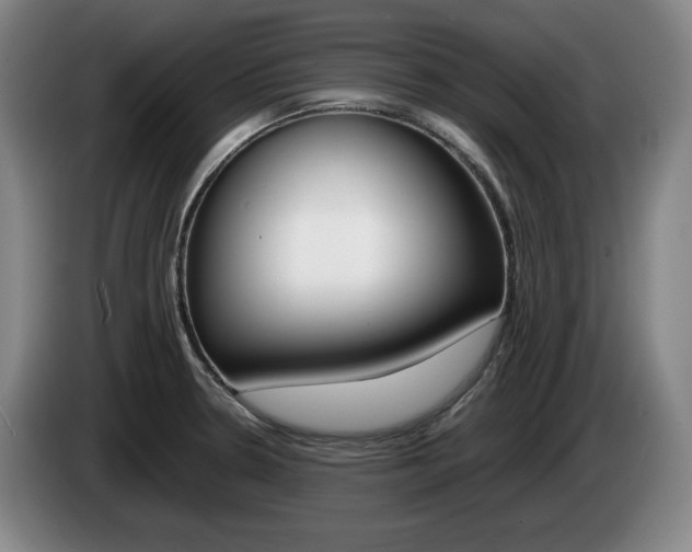 X0000085311330200703091046