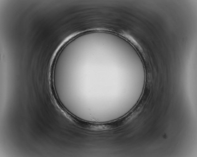 X0000085311331200703091046