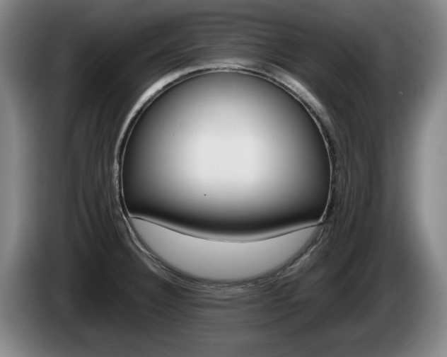 X0000085311332200703091046