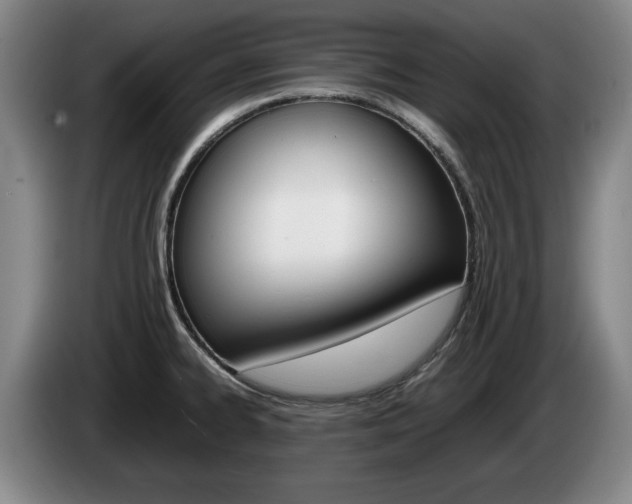 X0000085311334200703091046