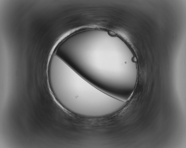 X0000085311335200703091046