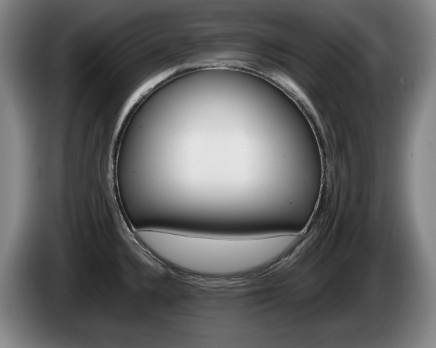 X0000085311336200703091046