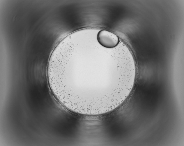 X0000085311338200703091046