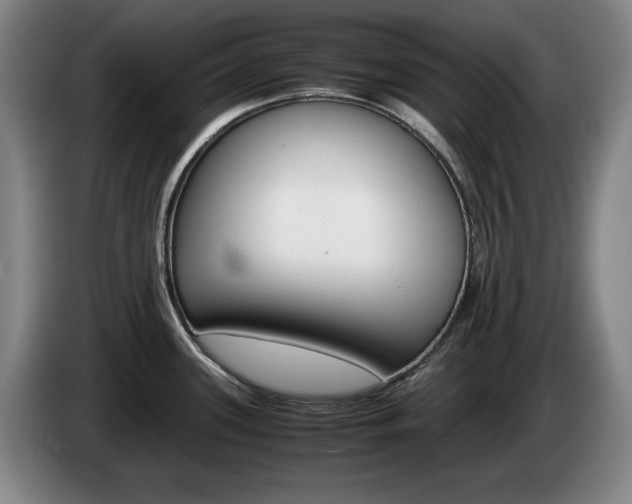 X0000085311339200703091046