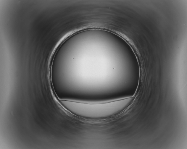 X0000085311342200703091046