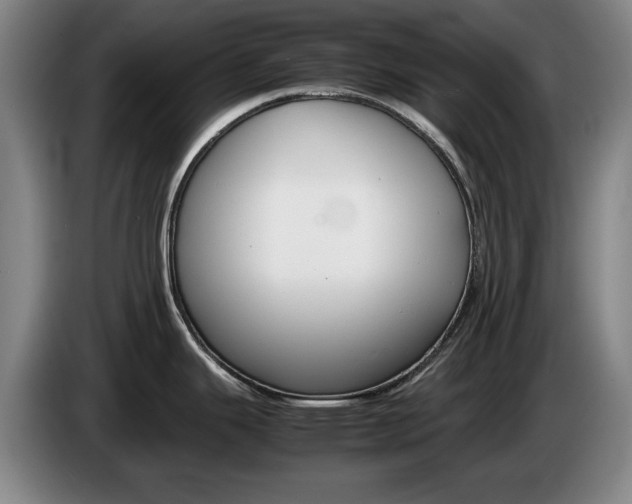 X0000085311343200703091046