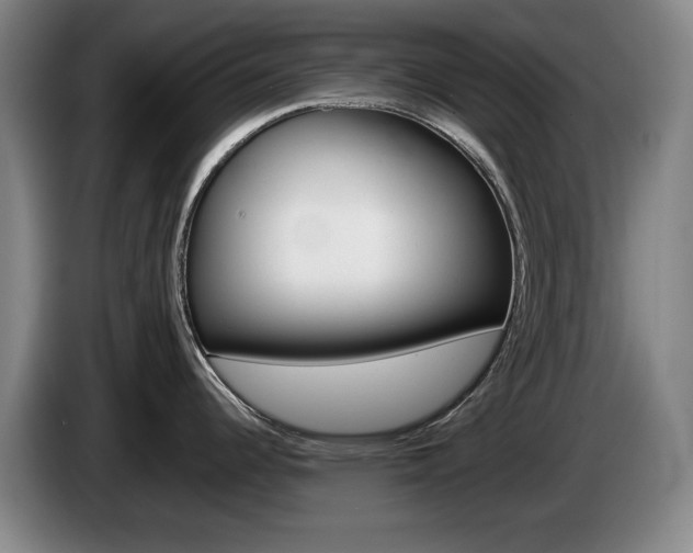 X0000085311344200703091046