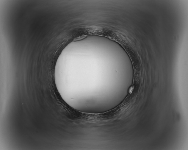 X0000085311345200703091045