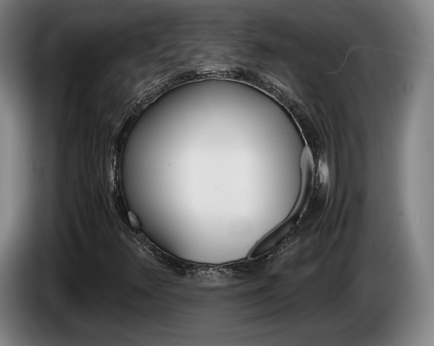 X0000085311348200703091045