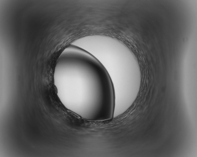 X0000085311349200703091045
