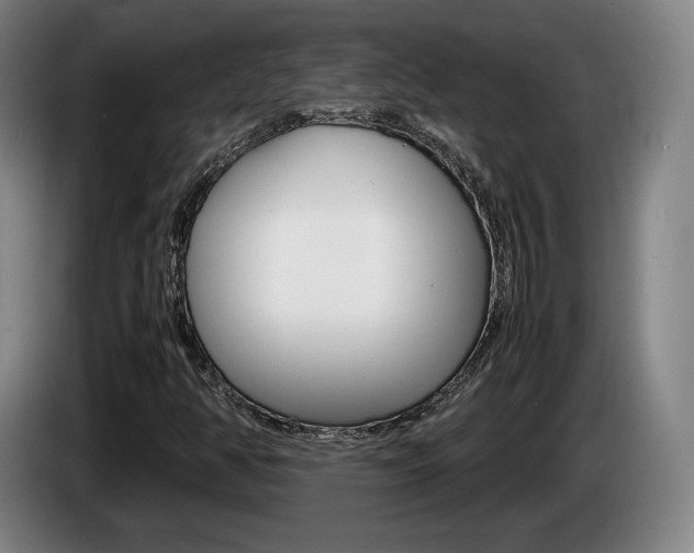 X0000085311350200703091045