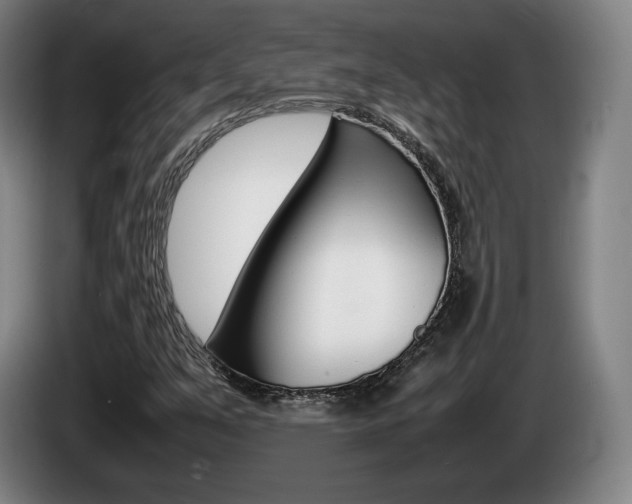 X0000085311351200703091045