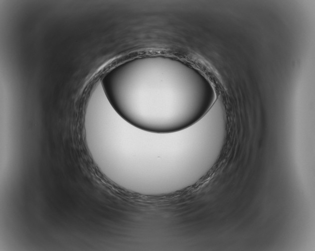 X0000085311352200703091045