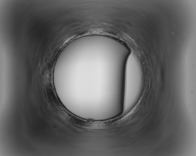 X0000085311353200703091045