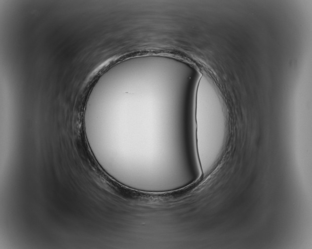X0000085311355200703091045