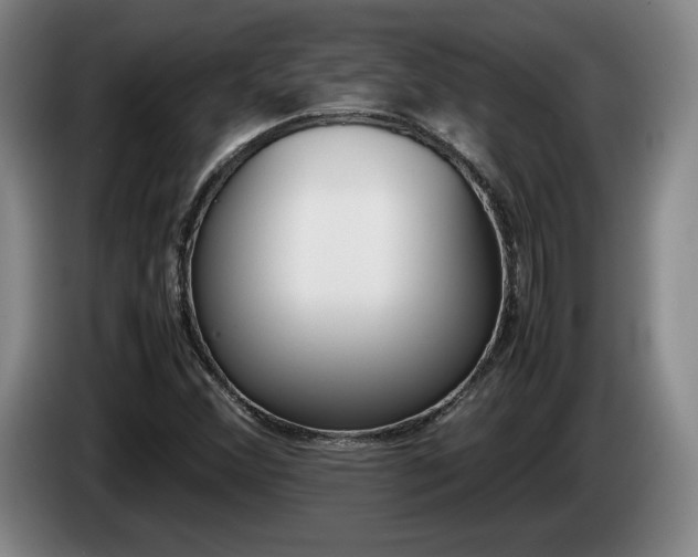 X0000085311356200703091045
