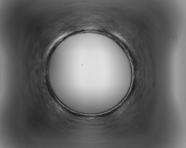 X0000085311359200703091045