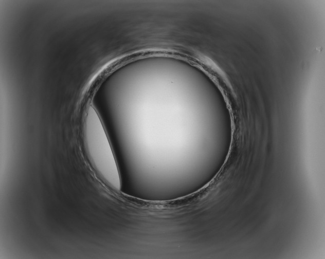 X0000085311360200703091045