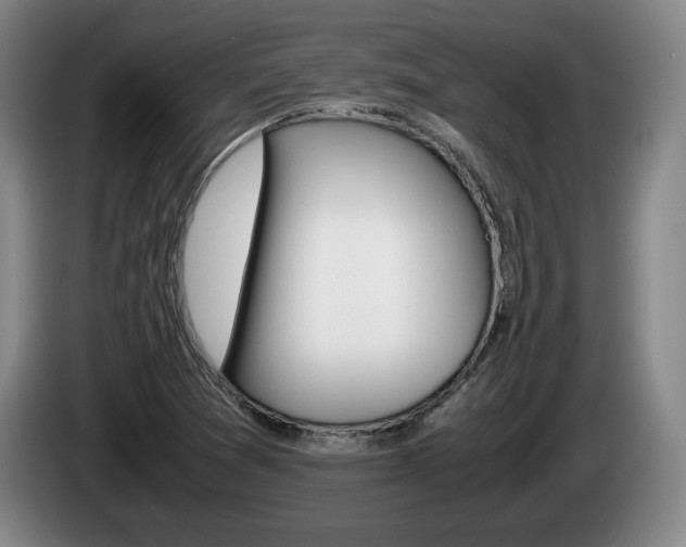 X0000085311361200703091045