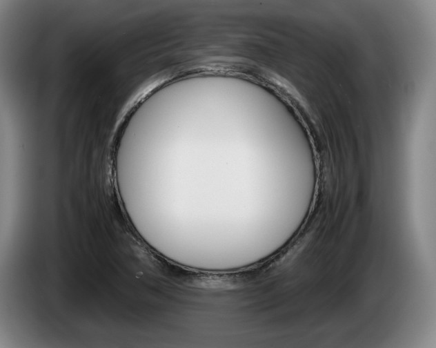 X0000085311362200703091045