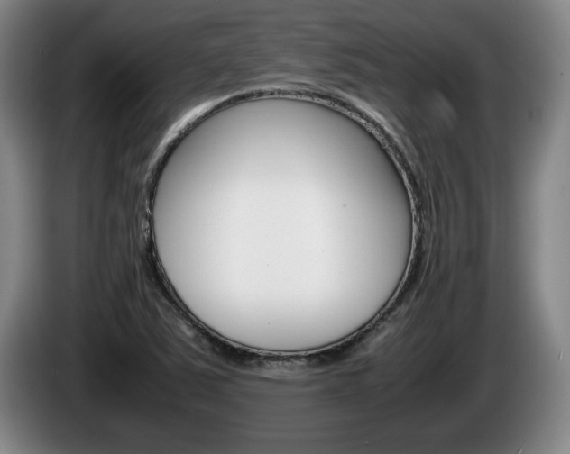 X0000085311363200703091045