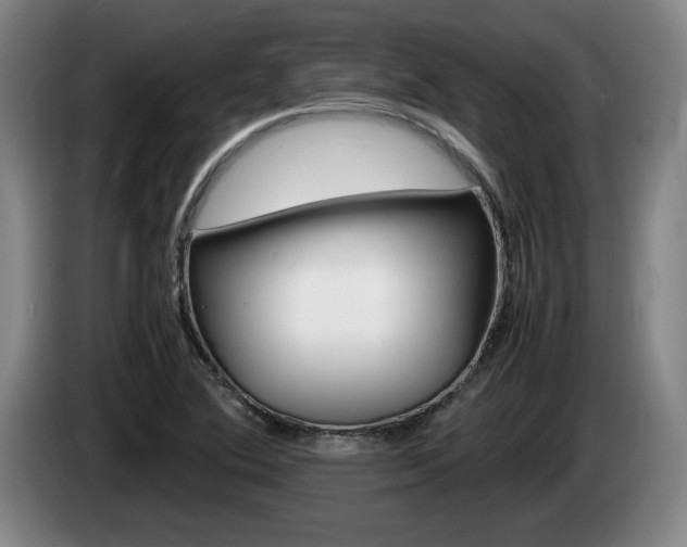X0000085311364200703091045