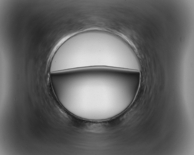 X0000085311367200703091045